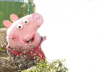 Εφέ φωτογραφιών στην κατηγορία Διαφορετικές παιδικές φωτογραφίες № 101439