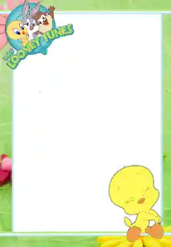 Η επιγραφή στην κορνίζα: Baby Looney Tunes