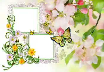 Η επιγραφή στην κορνίζα: Συγχαρητήρια!