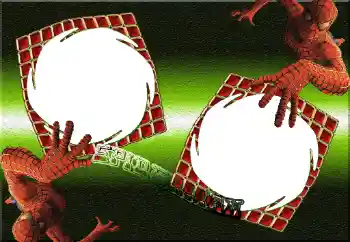Η επιγραφή στην κορνίζα: Spiderman