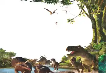 Εφέ φωτογραφιών στην κατηγορία Διαφορετικές παιδικές φωτογραφίες № 153254 Εφέ φωτογραφιών στην κατηγορία Διαφορετικές παιδικές φωτογραφίες № 153254