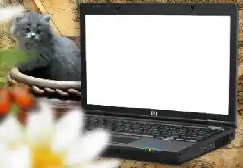 Εφέ φωτογραφιών στην κατηγορία Διαφορετικές παιδικές φωτογραφίες № 157214