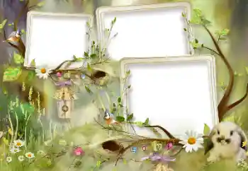 Εφέ φωτογραφιών στην κατηγορία Παιδικά συναισθήματα № 105460