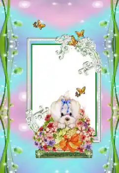 Εφέ φωτογραφιών στην κατηγορία Παιδικές γιορτές № 151673