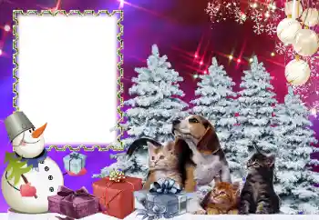 Εφέ φωτογραφιών στην κατηγορία Παιδικές γιορτές № 178291