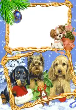 Εφέ φωτογραφιών στην κατηγορία Παιδικές γιορτές № 369