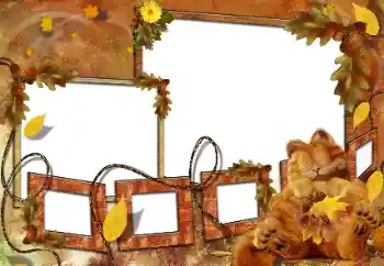 Εφέ φωτογραφιών στην κατηγορία Κολύμβηση, διατροφή, ύπνος № 160682