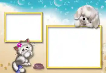 Εφέ φωτογραφιών στην κατηγορία Τα παιχνίδια και τα κατοικίδια ζώα μου № 127098