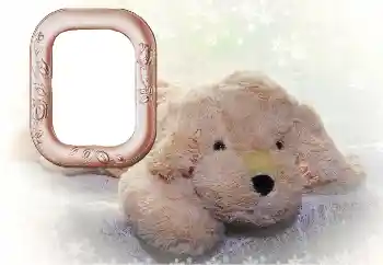 Εφέ φωτογραφιών στην κατηγορία Τα παιχνίδια και τα κατοικίδια ζώα μου № 169102