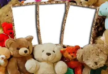 Εφέ φωτογραφιών στην κατηγορία Τα παιχνίδια και τα κατοικίδια ζώα μου № 6505