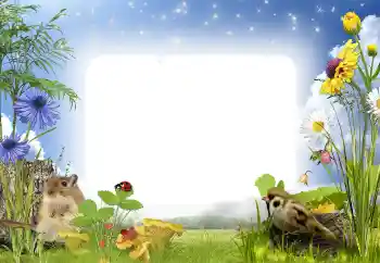 Εφέ φωτογραφιών στην κατηγορία Στη φύση № 141000