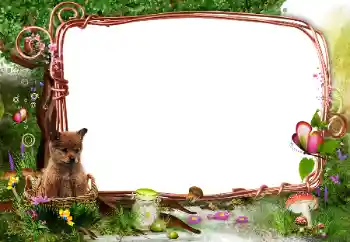 Εφέ φωτογραφιών στην κατηγορία Στη φύση № 142331