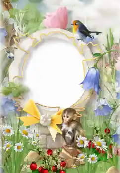 Εφέ φωτογραφιών στην κατηγορία Στη φύση № 152975