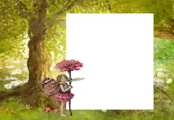 Εφέ φωτογραφιών στην κατηγορία Στη φύση № 9863