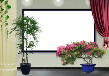 Εφέ φωτογραφιών στην κατηγορία Διαφημιστικές πινακίδες, τοίχοι, αφίσες № 3434