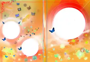 Εφέ φωτογραφιών στην κατηγορία Εξώφυλλα DVD № 145141