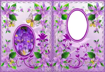 Εφέ φωτογραφιών στην κατηγορία Εξώφυλλα DVD № 183322