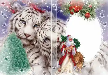 Η επιγραφή στην κορνίζα: Πρωτοχρονιά