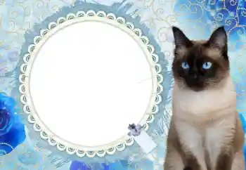 Η επιγραφή στην κορνίζα: 2026