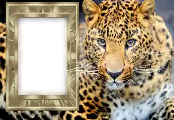 Η επιγραφή στην κορνίζα: 2026