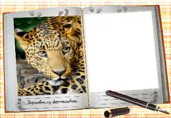 Η επιγραφή στην κορνίζα: 2026