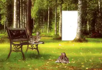 Η επιγραφή στην κορνίζα: 2026