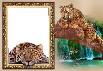 Η επιγραφή στην κορνίζα: 2026