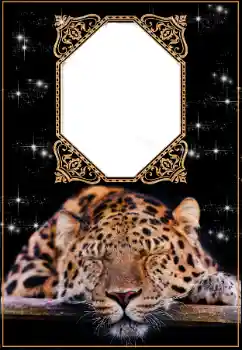 Η επιγραφή στην κορνίζα: 2026