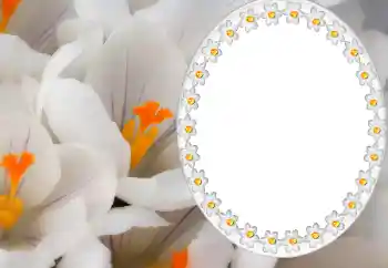 Η επιγραφή στην κορνίζα: 2026 Η επιγραφή στην κορνίζα: 2026