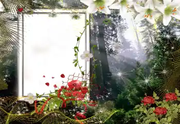 Η επιγραφή στην κορνίζα: 2026 Η επιγραφή στην κορνίζα: 2026