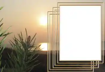 Η επιγραφή στην κορνίζα: 2026 Η επιγραφή στην κορνίζα: 2026