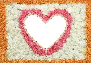 Η επιγραφή στην κορνίζα: 2026