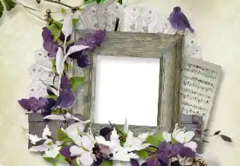 Εφέ φωτογραφιών στην κατηγορία Διαφορετικές № 100112 Εφέ φωτογραφιών στην κατηγορία Διαφορετικές № 100112