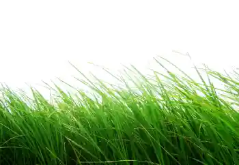 Εφέ φωτογραφιών στην κατηγορία Διαφορετικές № 101116 Εφέ φωτογραφιών στην κατηγορία Διαφορετικές № 101116