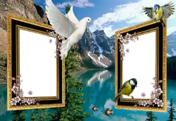 Εφέ φωτογραφιών στην κατηγορία Διαφορετικές № 101225