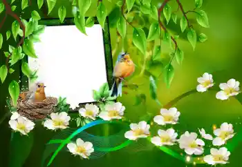 Εφέ φωτογραφιών στην κατηγορία Διαφορετικές № 101227