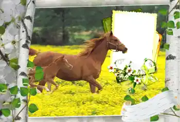 Εφέ φωτογραφιών στην κατηγορία Διαφορετικές № 101264