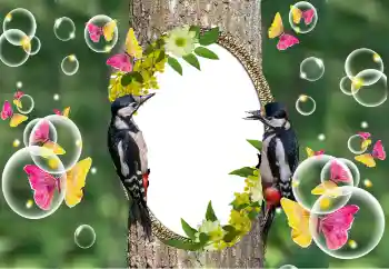 Εφέ φωτογραφιών στην κατηγορία Διαφορετικές № 101320 Εφέ φωτογραφιών στην κατηγορία Διαφορετικές № 101320