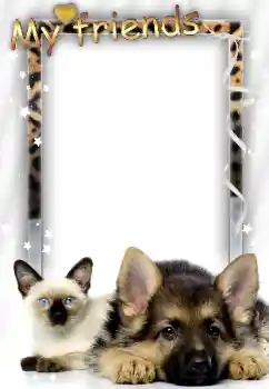 Η επιγραφή στην κορνίζα: Φίλοι μου