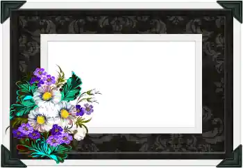 Εφέ φωτογραφιών στην κατηγορία Διαφορετικές № 104106