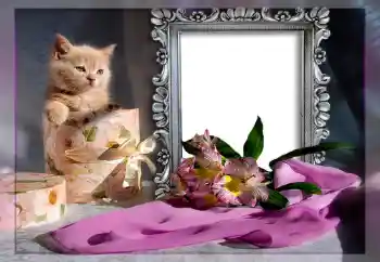 Εφέ φωτογραφιών στην κατηγορία Διαφορετικές № 10835