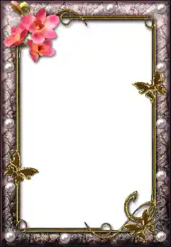 Εφέ φωτογραφιών στην κατηγορία Διαφορετικές № 112004