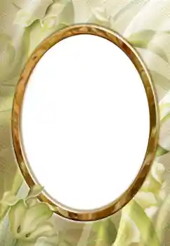 Εφέ φωτογραφιών στην κατηγορία Διαφορετικές № 112278