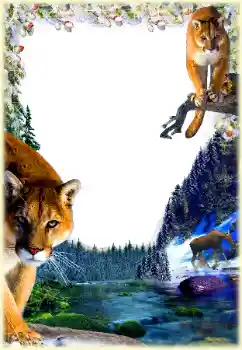 Εφέ φωτογραφιών στην κατηγορία Διαφορετικές № 112361