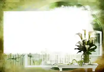 Εφέ φωτογραφιών στην κατηγορία Διαφορετικές № 112461