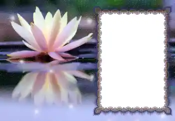 Εφέ φωτογραφιών στην κατηγορία Διαφορετικές № 112532