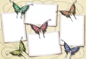 Εφέ φωτογραφιών στην κατηγορία Διαφορετικές № 112580