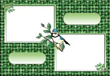 Εφέ φωτογραφιών στην κατηγορία Διαφορετικές № 112641