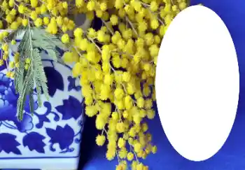 Εφέ φωτογραφιών στην κατηγορία Διαφορετικές № 112719