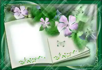 Εφέ φωτογραφιών στην κατηγορία Διαφορετικές № 112842